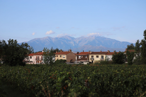 Réparation Dégât des Eaux Villeneuve-la-Garenne